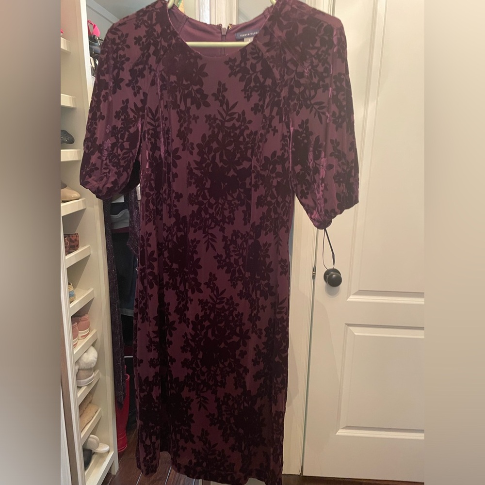 Velvet dress